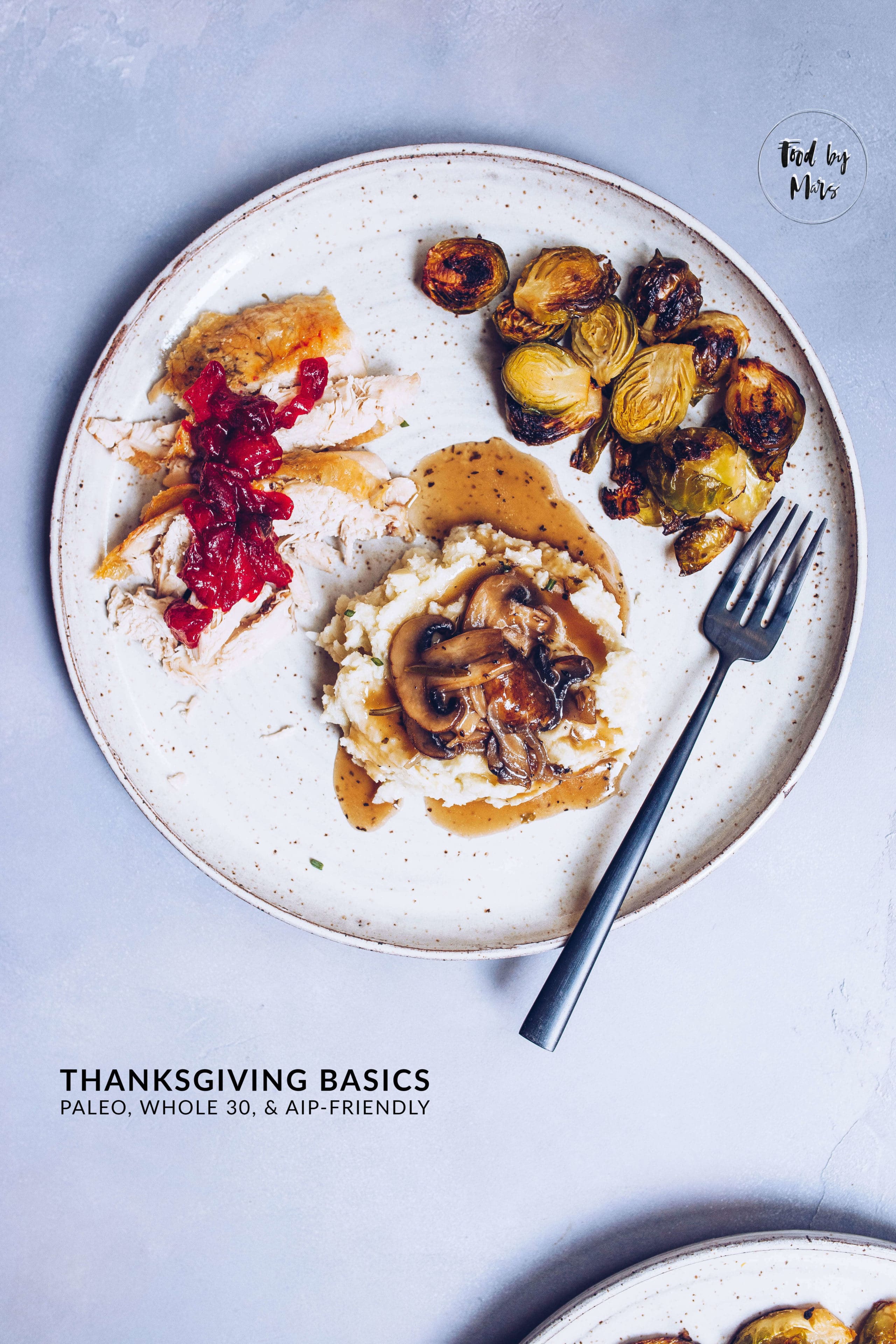 Paleo Thanksgiving Basics via Food by Mars (Whole 30, AIP-friendly)