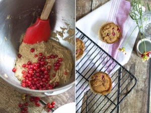 Currant Muffins made with Tigernut Flour (V + GF)