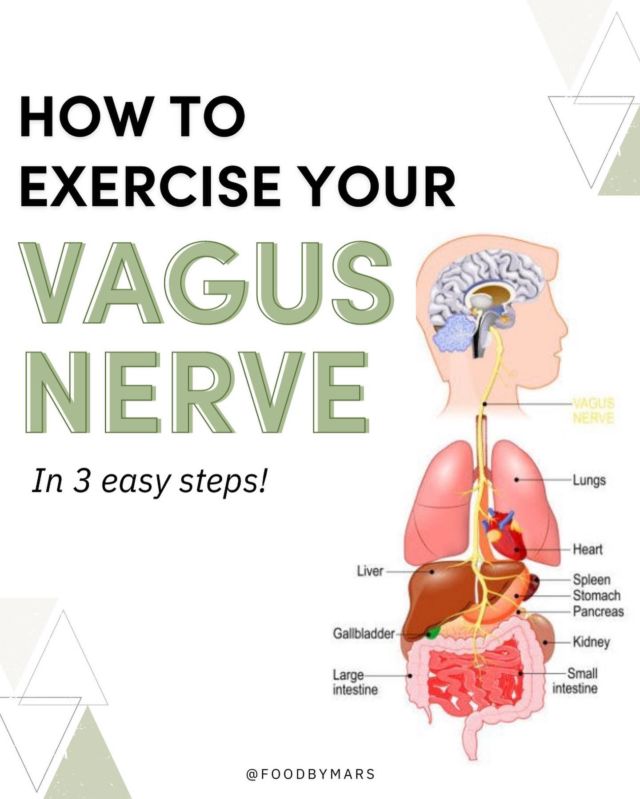 The vagus nerve is part of activating the parasympathetic nervous system which might need a little extra help with turning on when we are out of practice and stuck in fight or flight. *This is a linchpin for healthy digestion*
⠀⠀⠀⠀⠀⠀⠀⠀⠀
You can activate the parasympathetic nervous system by exercising your vagus nerve in many ways, try an easy breathing exercise now and bring this with you while practicing mindful eating:
⠀⠀⠀⠀⠀⠀⠀⠀⠀
1) Take a deep breath through your nose and hold it for 10 seconds before exhaling through pursed lips (like whistling).
⠀⠀⠀⠀⠀⠀⠀⠀⠀
2) Repeat three times.
⠀⠀⠀⠀⠀⠀⠀⠀⠀
Stick around for more gut health tips! 
⠀⠀⠀⠀⠀⠀⠀⠀⠀
#antiinflammatorydiet #fertilityjourney #hashimotos #pcosawareness #chronicillness #celiac #celiacdisease #thyroidwarrior #autoimmune  #paleolifestyle #eliminationdiet #guthealth #guthealing #foodsensitivities #guthealth